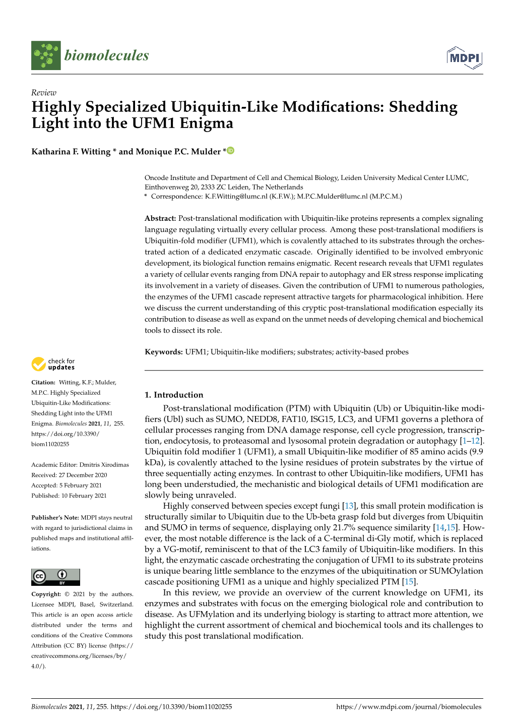 Highly Specialized Ubiquitin-Like Modifications: Shedding Light Into