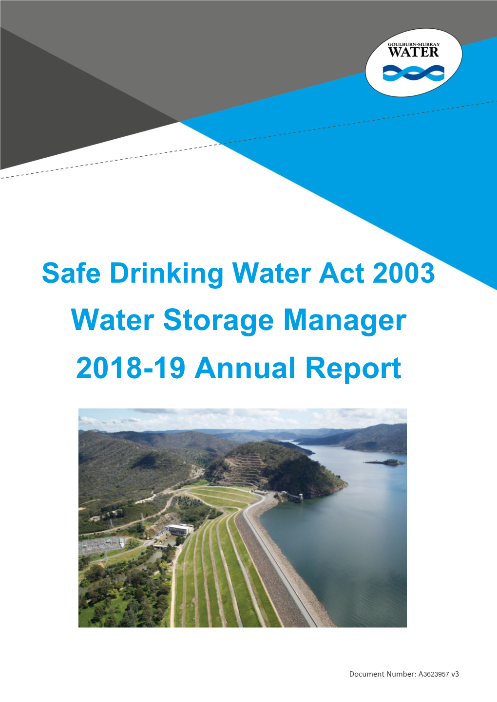 Water Storage Manager 2018-19 Annual Report