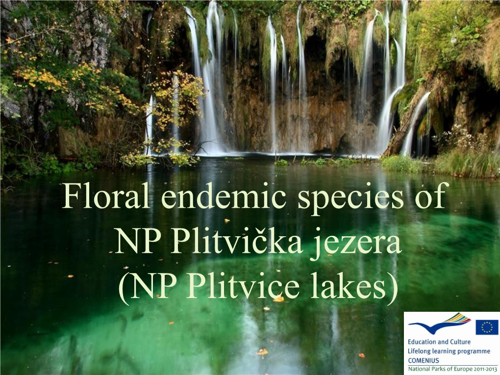 Floral Endemic Species of NP Plitvička Jezera (NP Plitvice Lakes) NP Plitvička Jezera