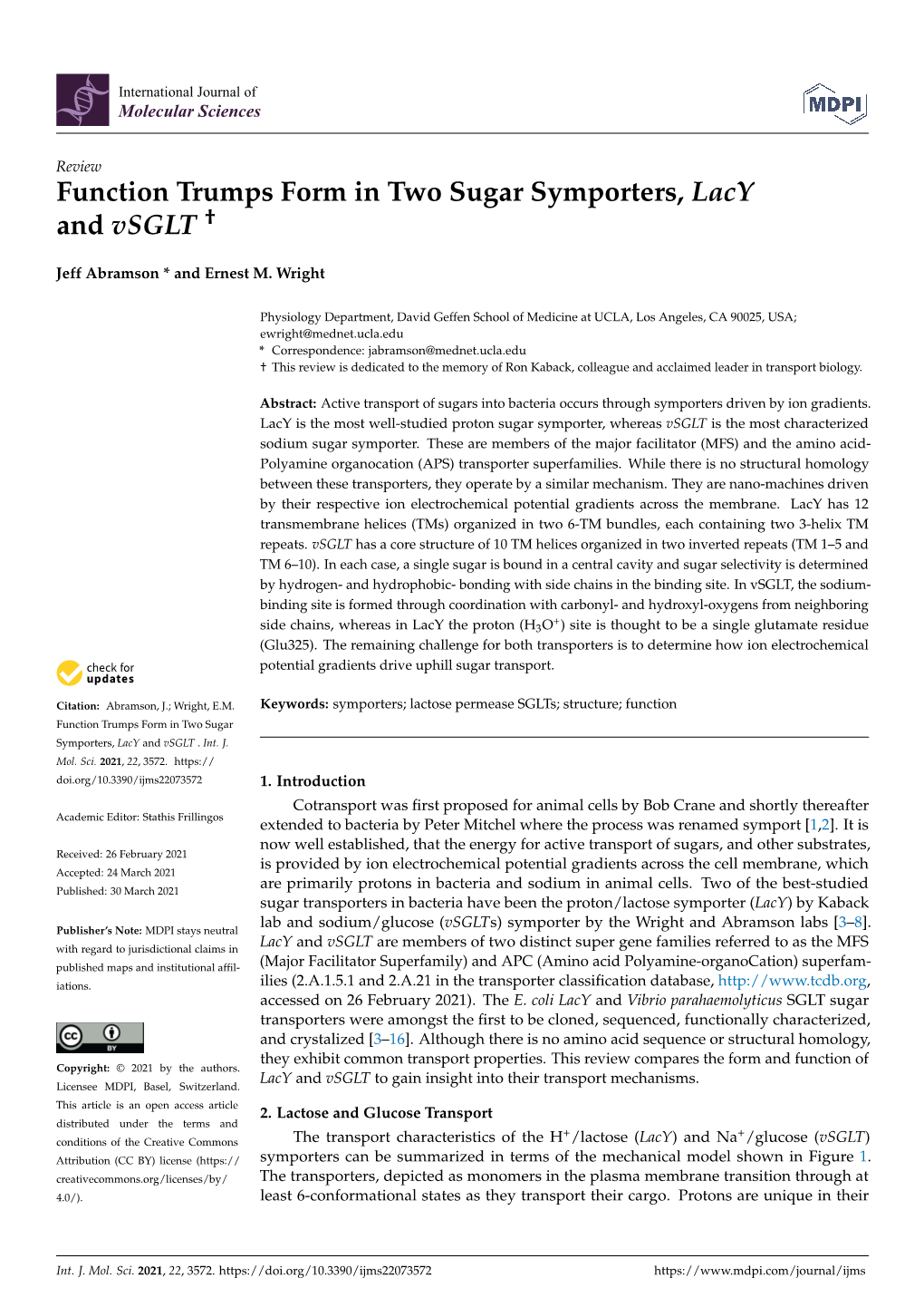 Function Trumps Form in Two Sugar Symporters, Lacy and Vsglt †