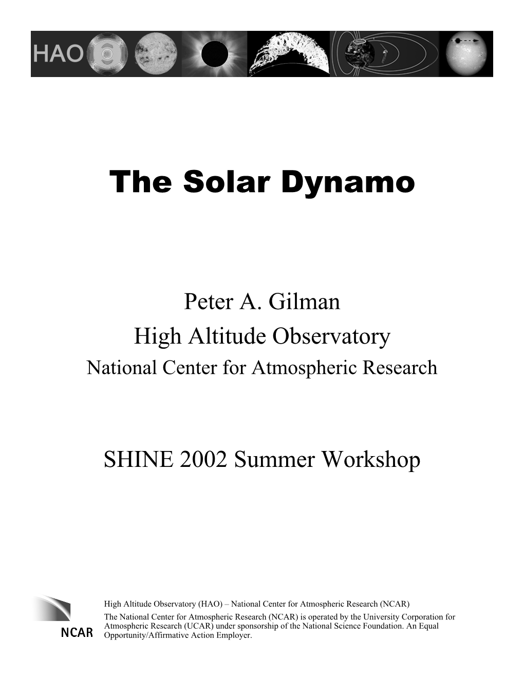 Solar Dynamo Tutorial (SHINE Au