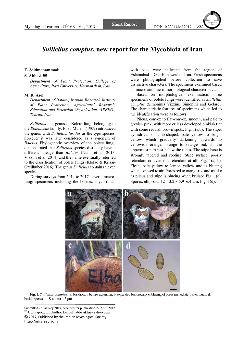 Suillellus Comptus, New Report for the Mycobiota of Iran