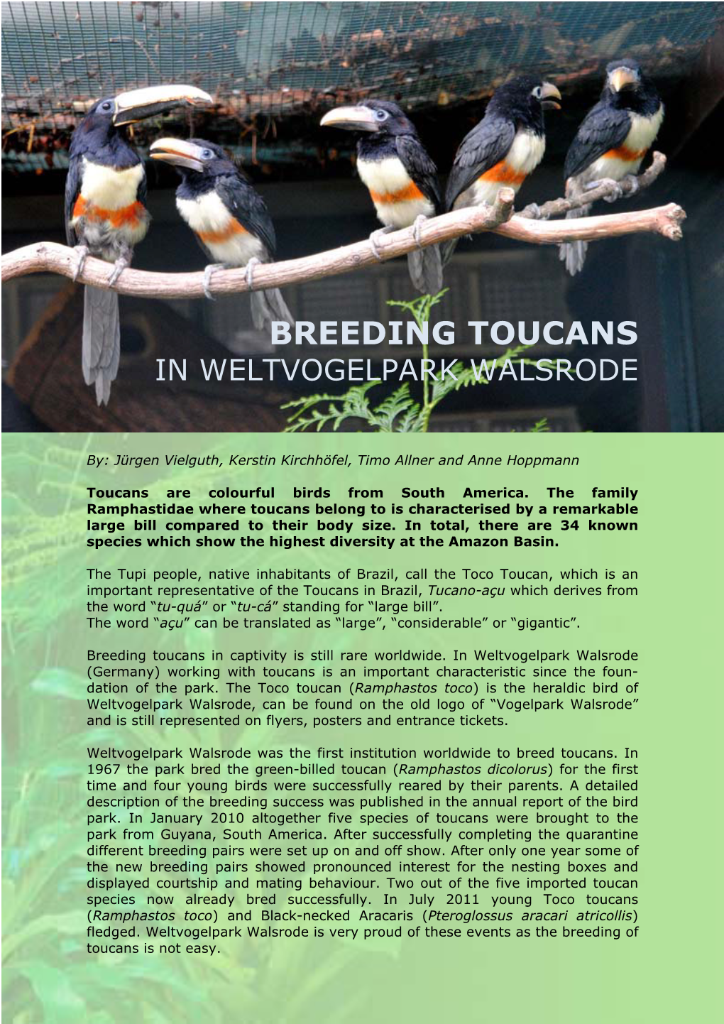 Breeding Toucans in Weltvogelpark Walsrode