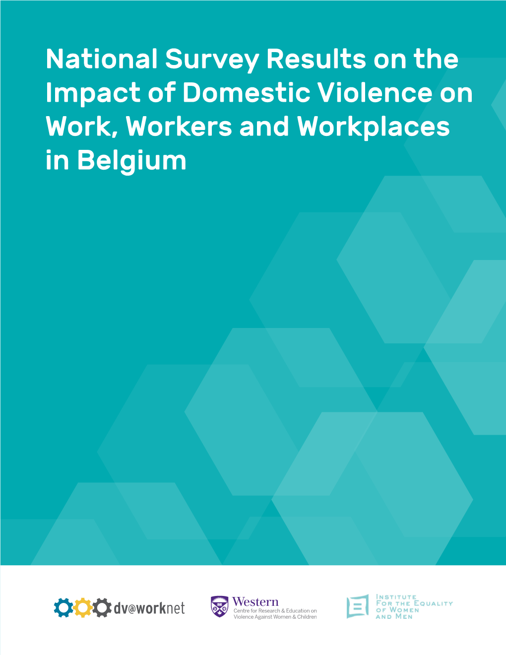 National Survey Results on the Impact of Domestic Violence on Work, Workers and Workplaces in Belgium