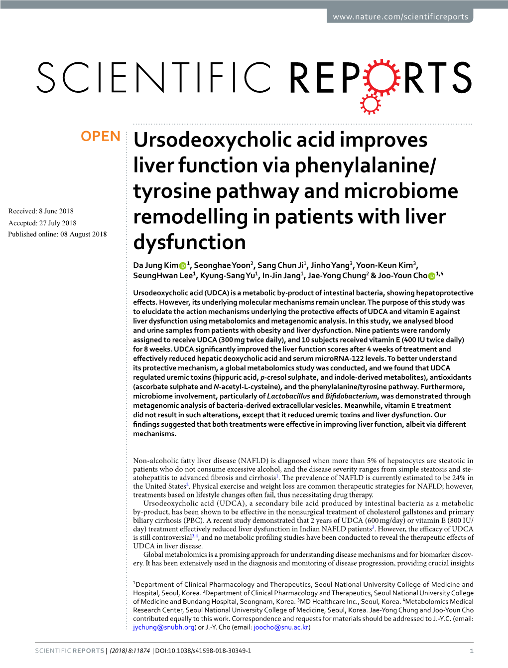 Ursodeoxycholic Acid Improves Liver Function Via Phenylalanine/Tyrosine