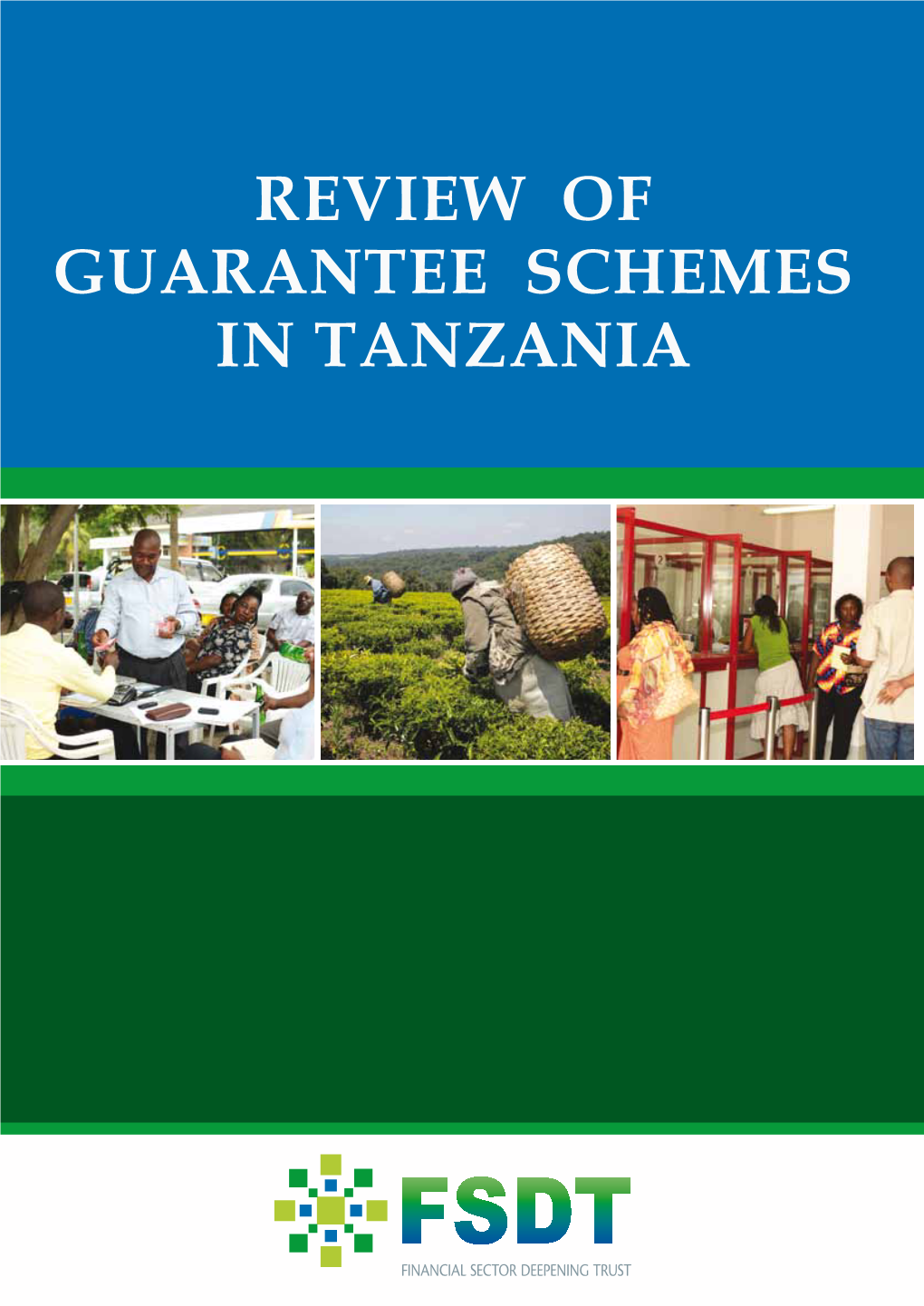 Review of Guarantee Schemes in Tanzania