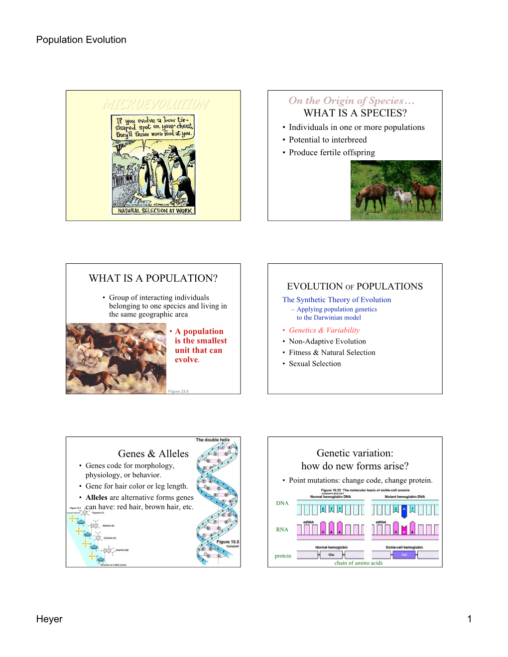 MICROEVOLUTION on the Origin of Species… WHAT IS a SPECIES? • Individuals in One Or More Populations • Potential to Interbreed • Produce Fertile Offspring