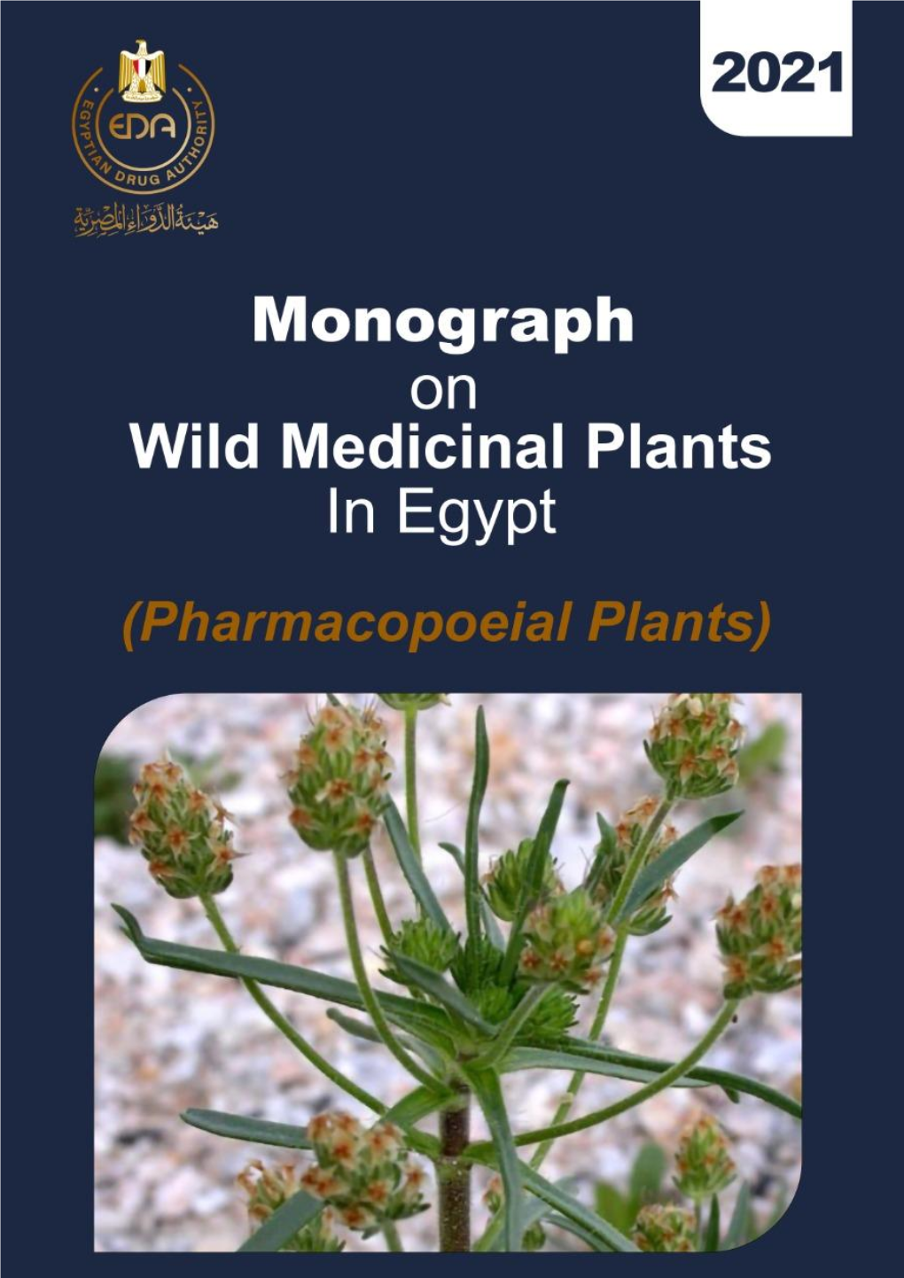 Monograph on Wild Medicinal Plants in Egypt Ammi Majus