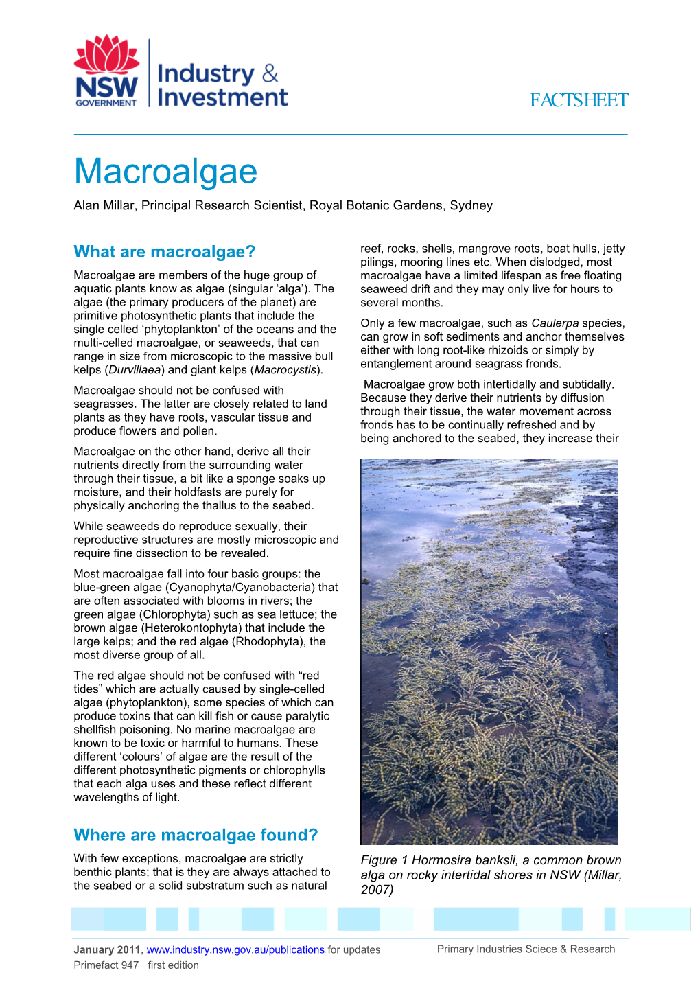 Macroalgae Alan Millar, Principal Research Scientist, Royal Botanic Gardens, Sydney