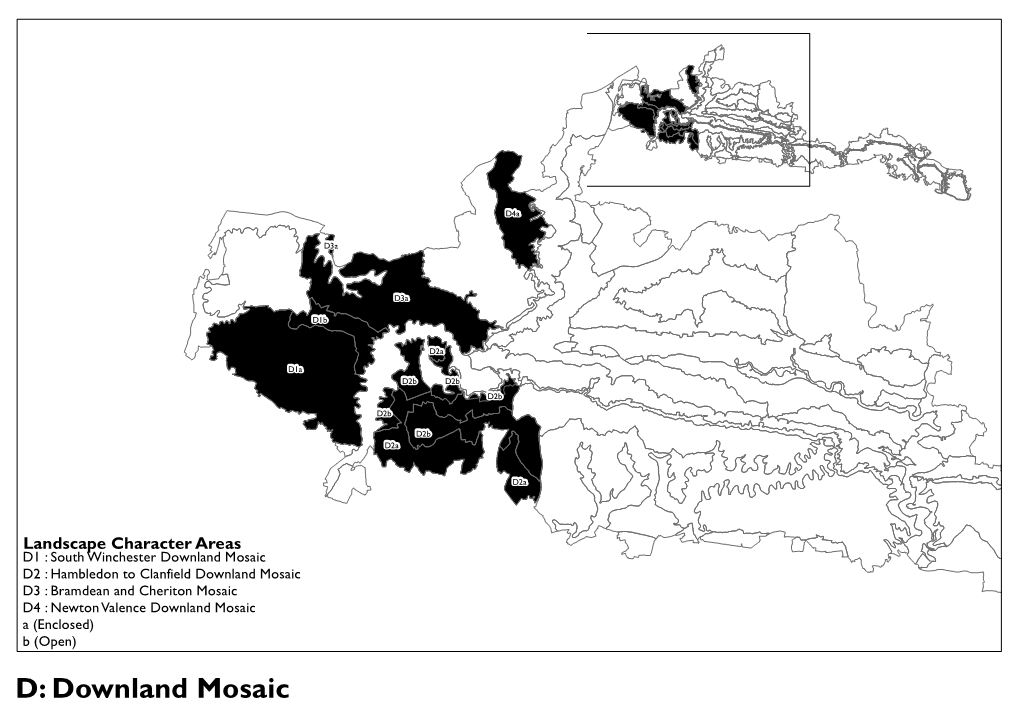 D: Downland Mosaic