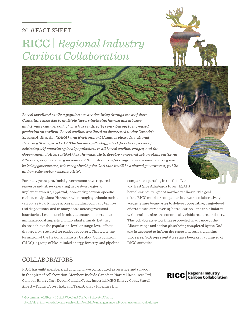 RICC | Regional Industry Caribou Collaboration