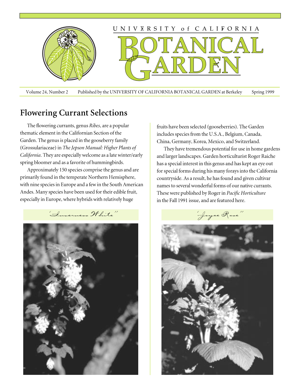 OTANICAL GARDEN Volume 24, Number 2 Published by the UNIVERSITY of CALIFORNIA BOTANICAL GARDEN at Berkeley Spring 1999