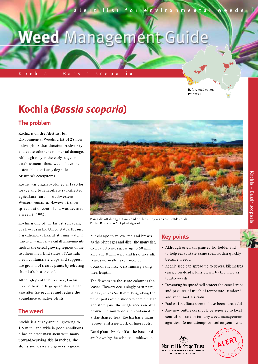 Weed Management Guide • Kochia – Bassia Scoparia 3