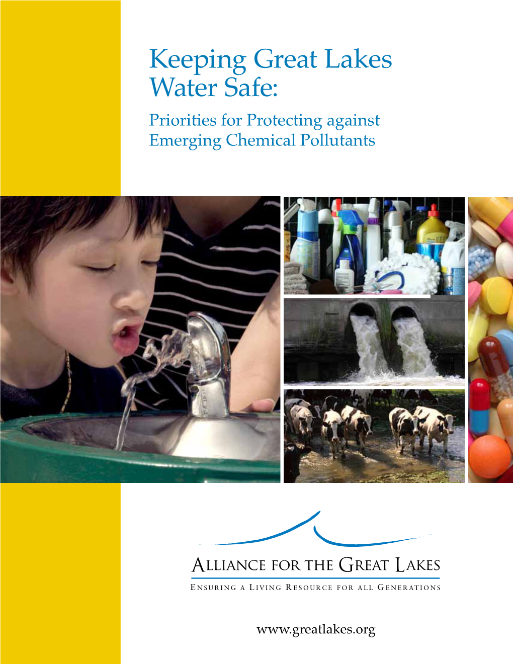 Keeping Great Lakes Water Safe: Priorities for Protecting Against Emerging Chemical Pollutants