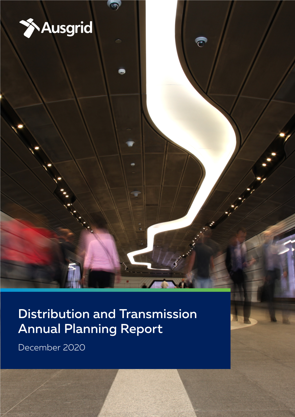 Distribution and Transmission Annual Planning Report December 2020
