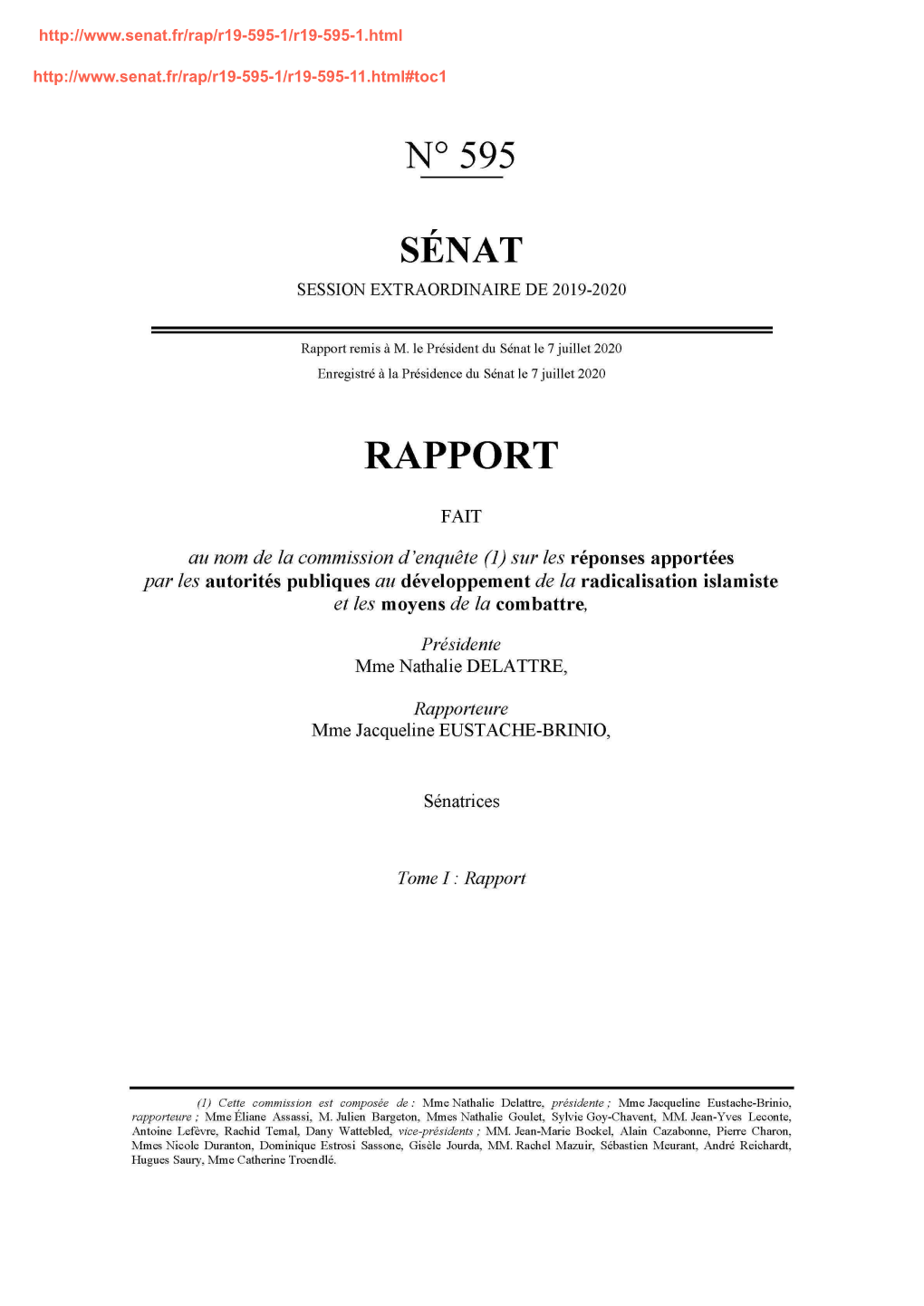 N°595 Sénat Rapport
