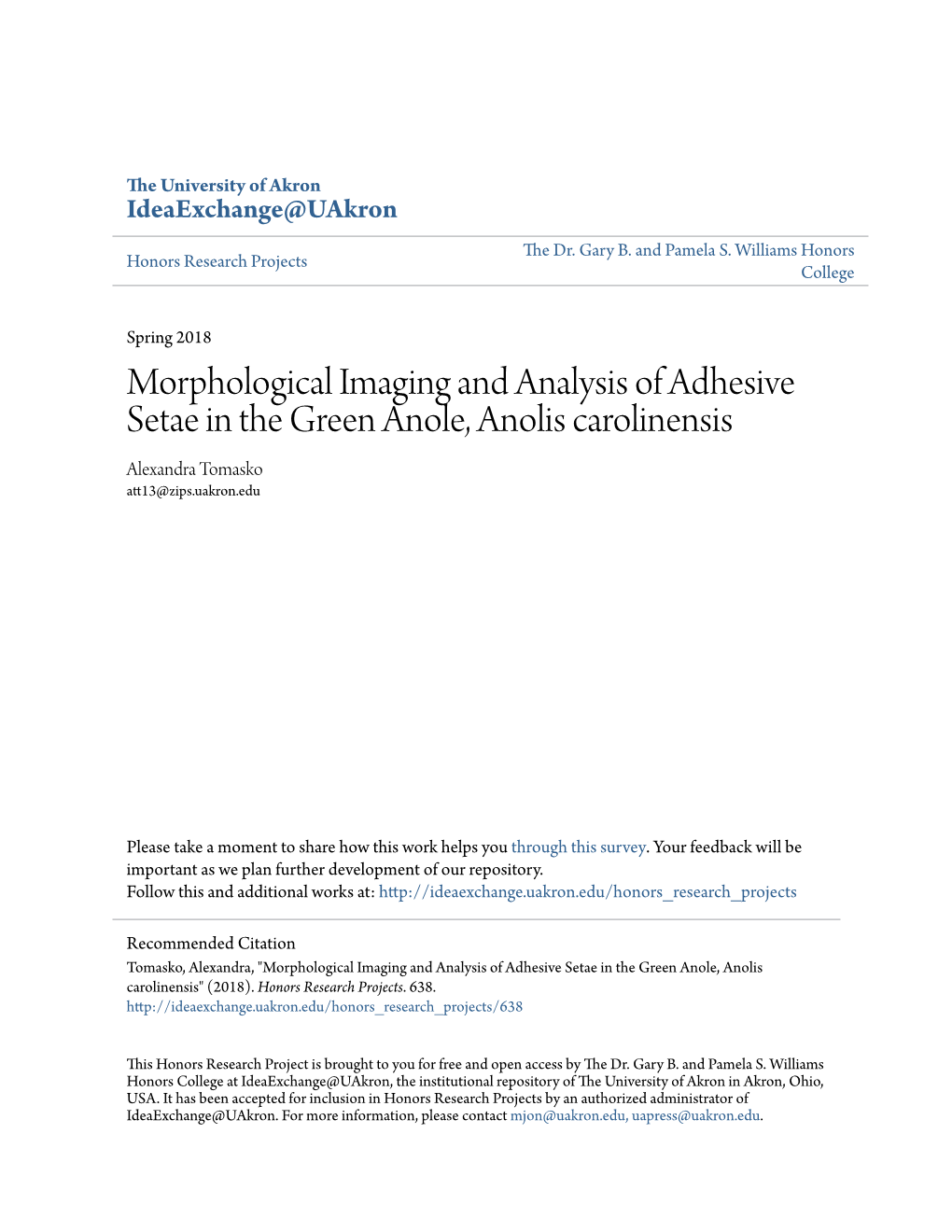 Morphological Imaging and Analysis of Adhesive Setae in the Green Anole, Anolis Carolinensis Alexandra Tomasko Att13@Zips.Uakron.Edu