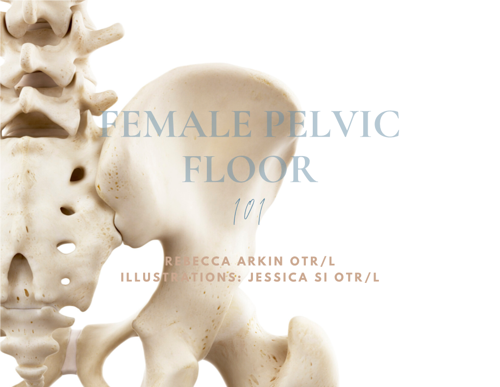 Female Pelvic Floor 101