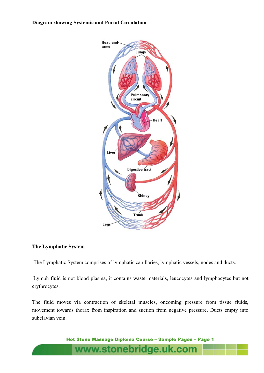 Diagram Showing Systemic and Portal Circulation the Lymphatic System