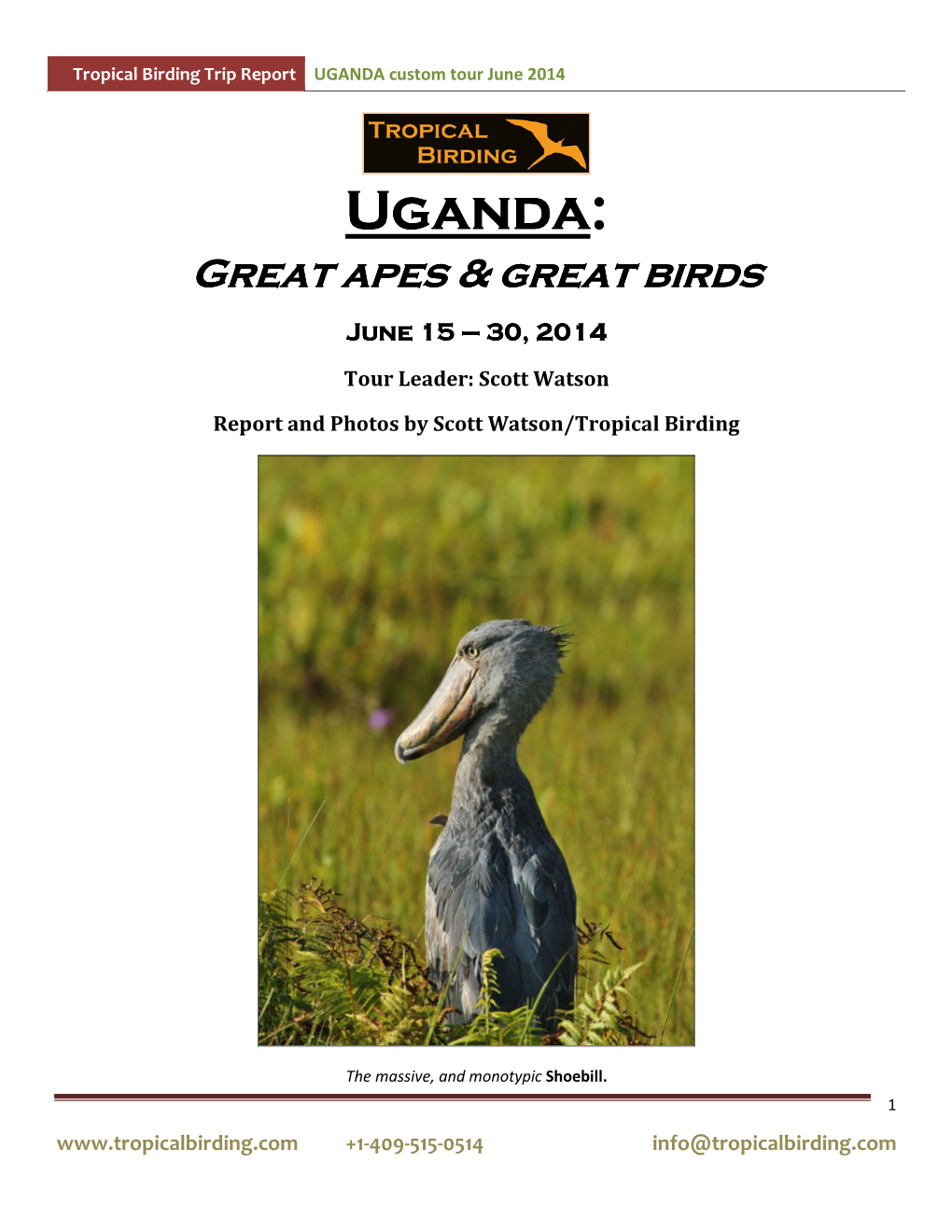 Uganda:::: Great Apes & Great Birds June 15 ––– 30, 2014