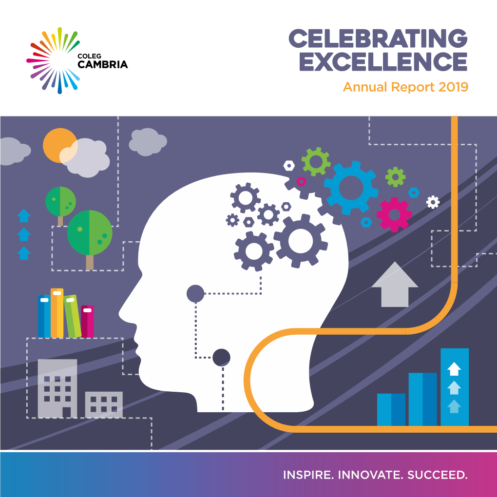CELEBRATING EXCELLENCE Annual Report 2019