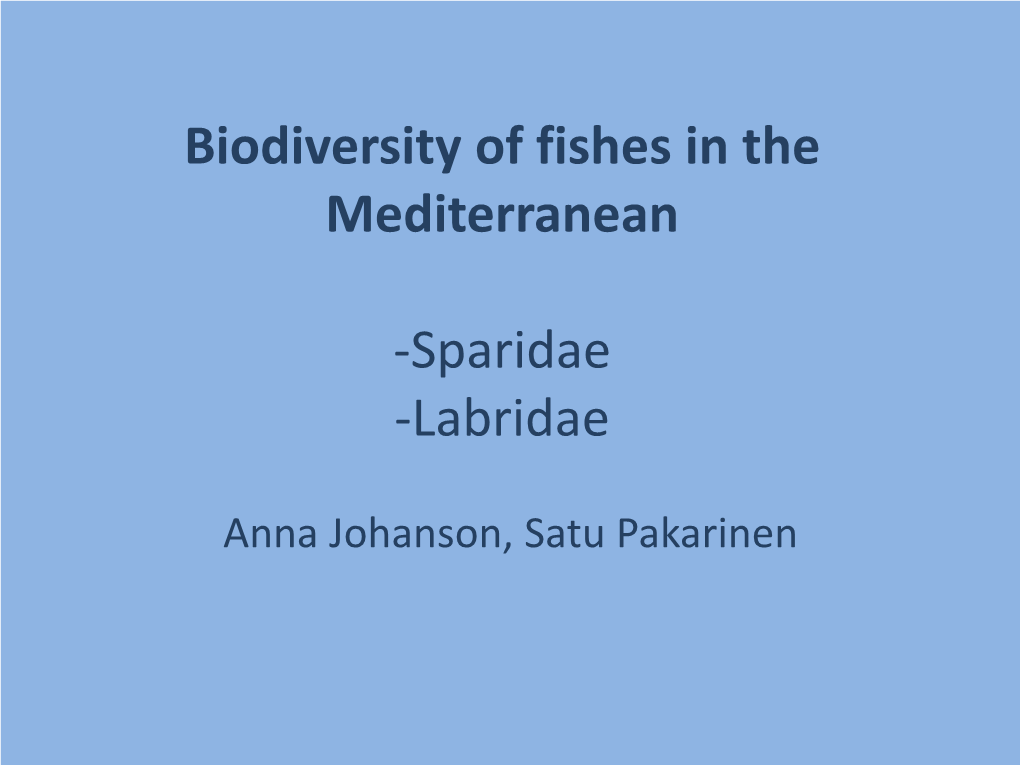 Biodiversity of Fishes in the Mediterranean -Sparidae -Labridae