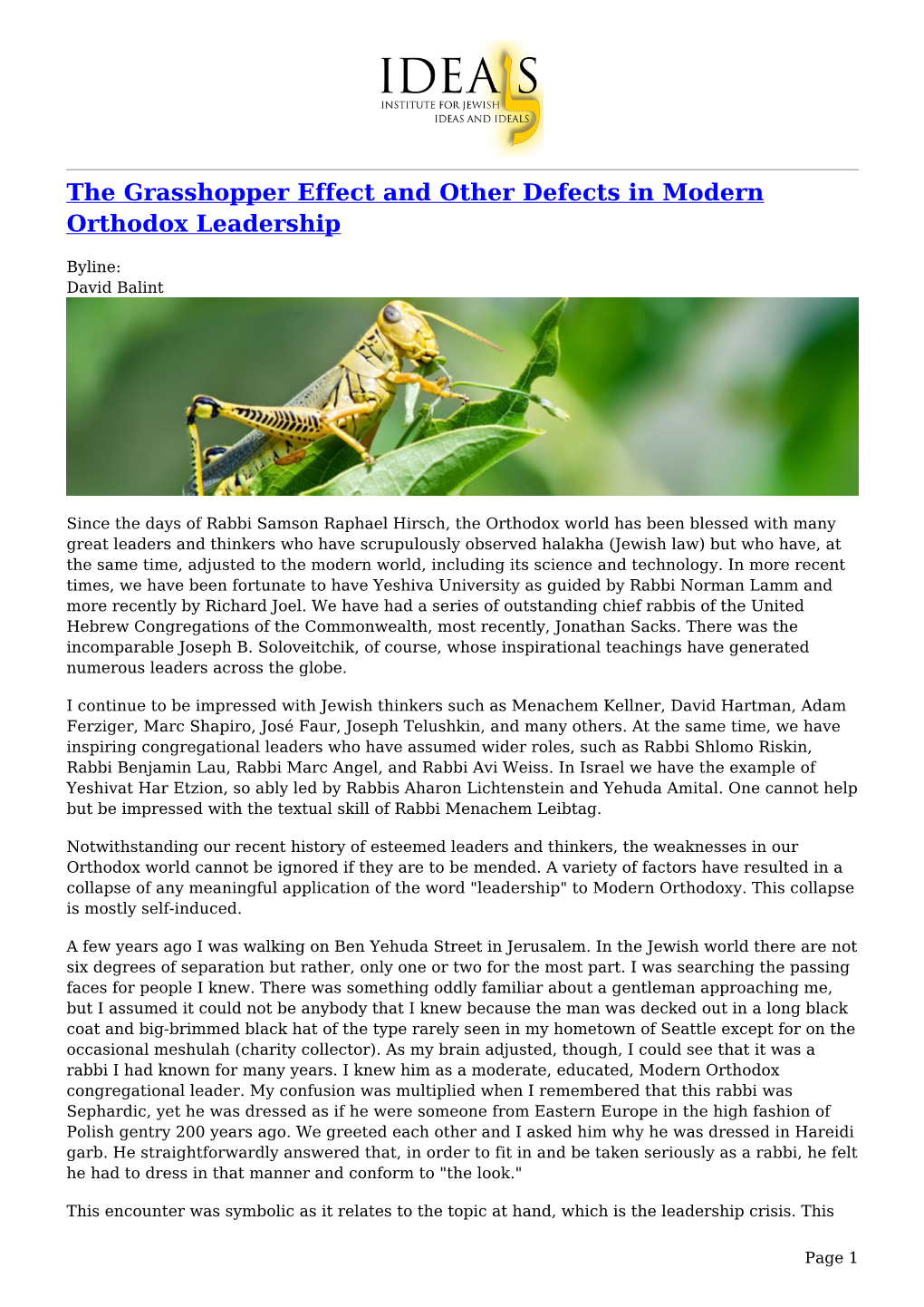 The Grasshopper Effect and Other Defects in Modern Orthodox Leadership