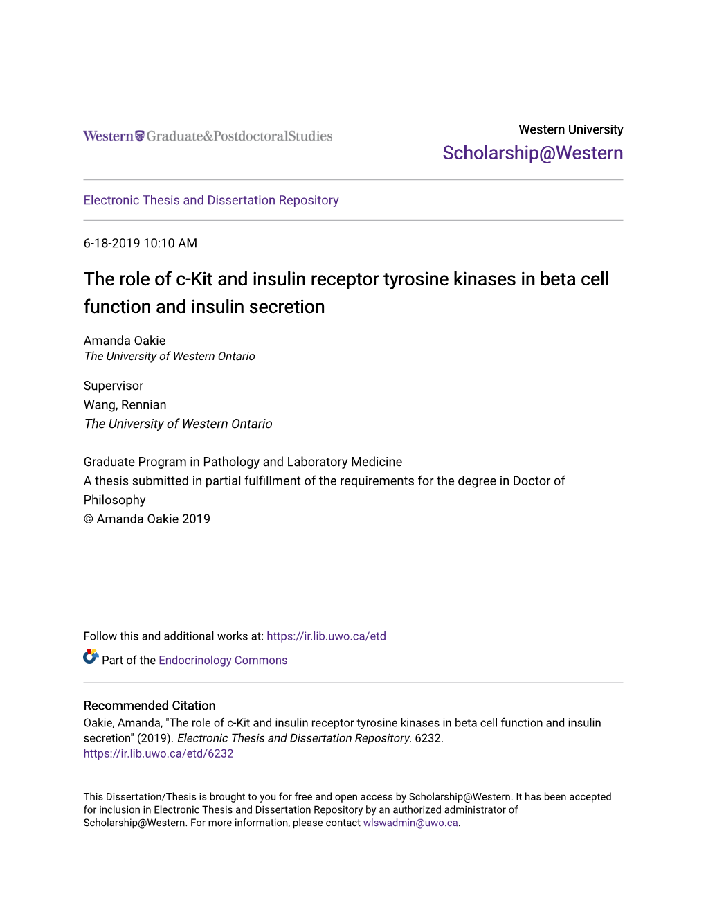 The Role of C-Kit and Insulin Receptor Tyrosine Kinases in Beta Cell Function and Insulin Secretion