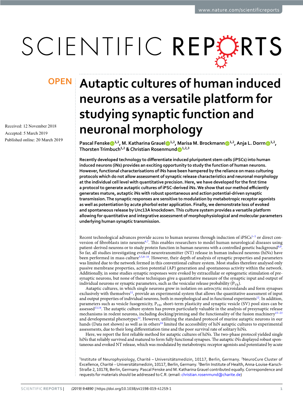 Autaptic Cultures of Human Induced Neurons As a Versatile Platform For