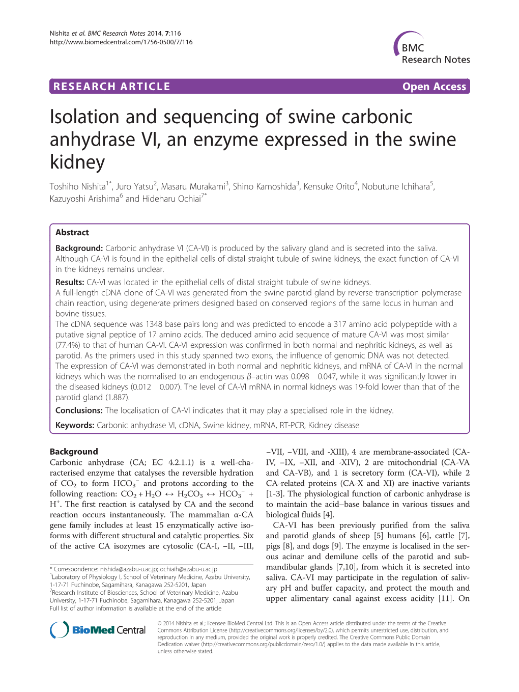 Isolation and Sequencing of Swine Carbonic Anhydrase VI, an Enzyme