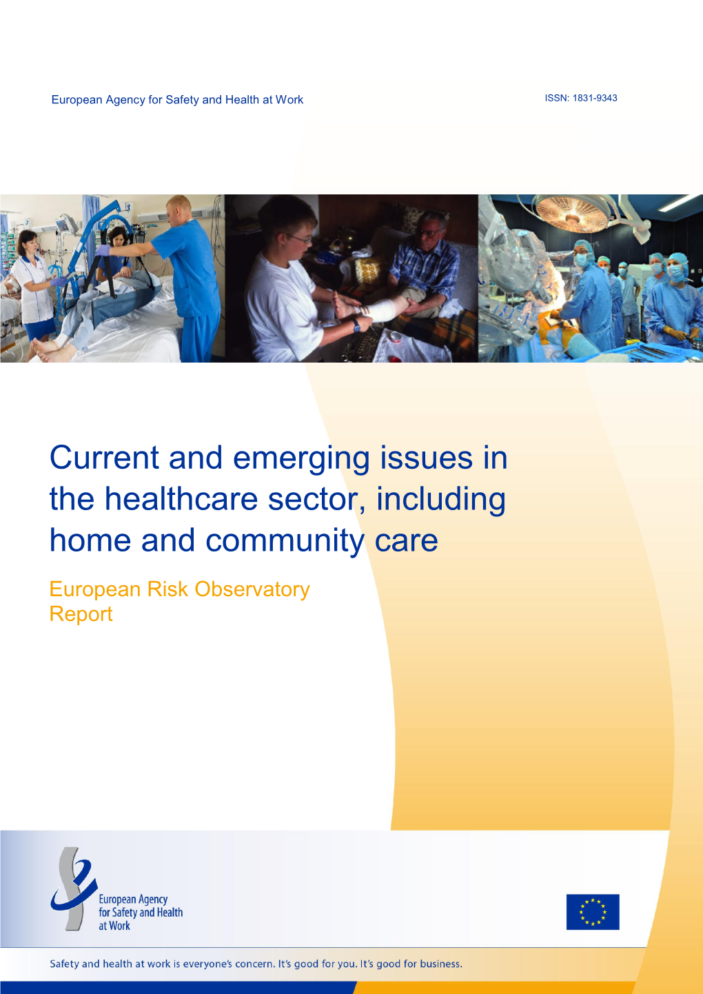 Current and Emerging Issues in the Healthcare Sector, Including Home and Community Care