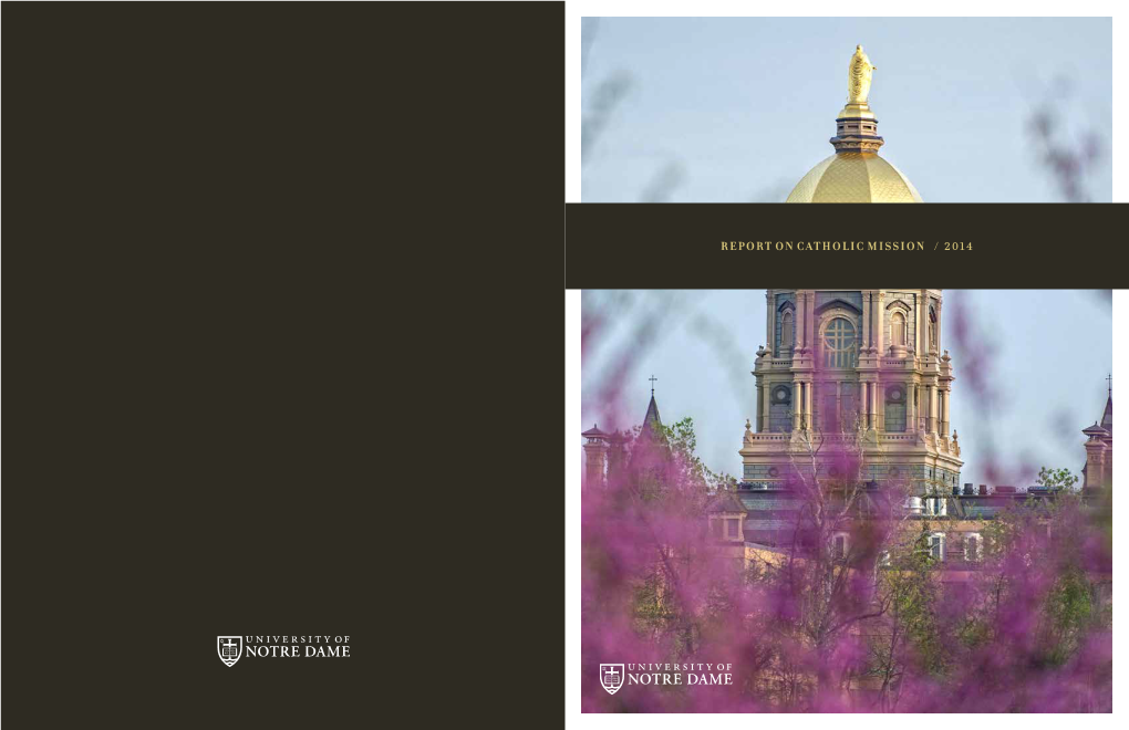 REPORT on CATHOLIC MISSION / 2014 Introduction