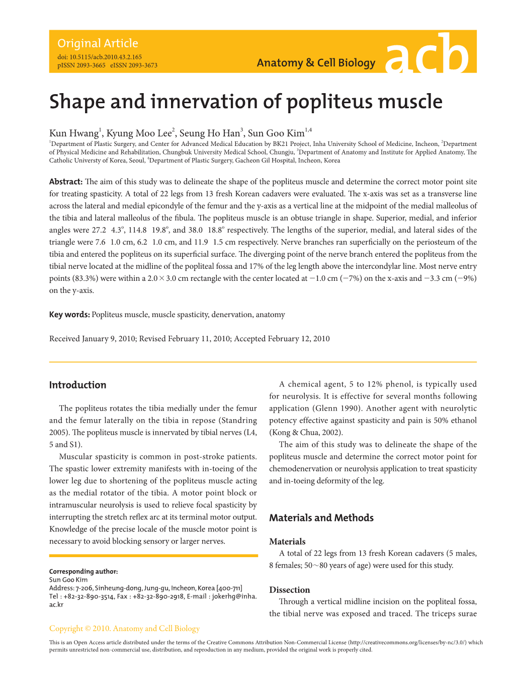 Shape and Innervation of Popliteus Muscle