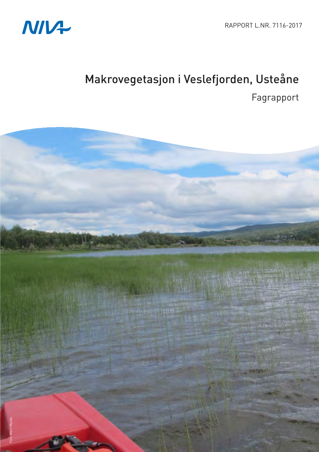 Makrovegetasjon I Veslefjorden, Usteåne Fagrapport Foto: Marit Mjelde Foto: NIVA 7116-2017