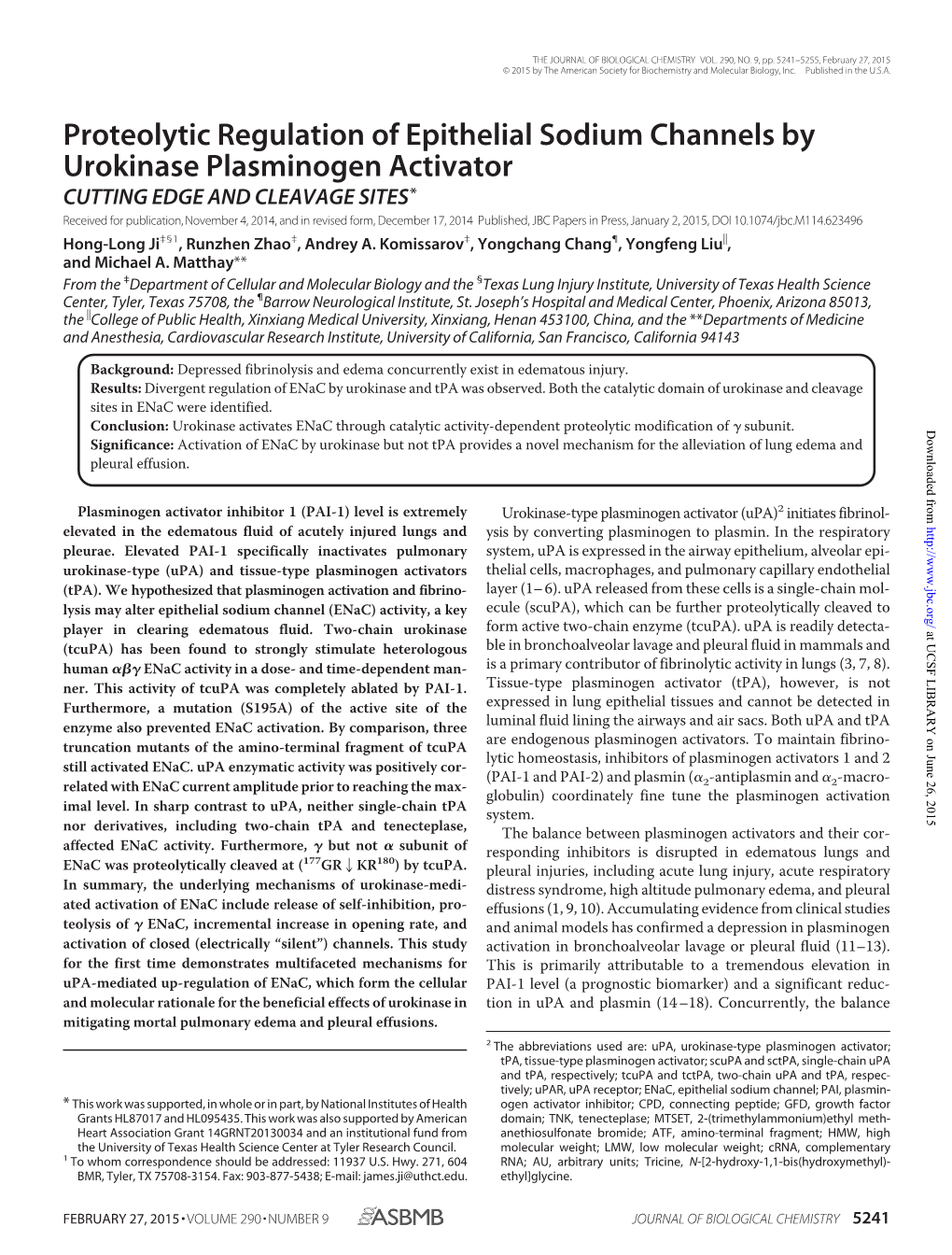 Proteolytic Regulation of Epithelial Sodium Channels by Urokinase Plasminogen Activator