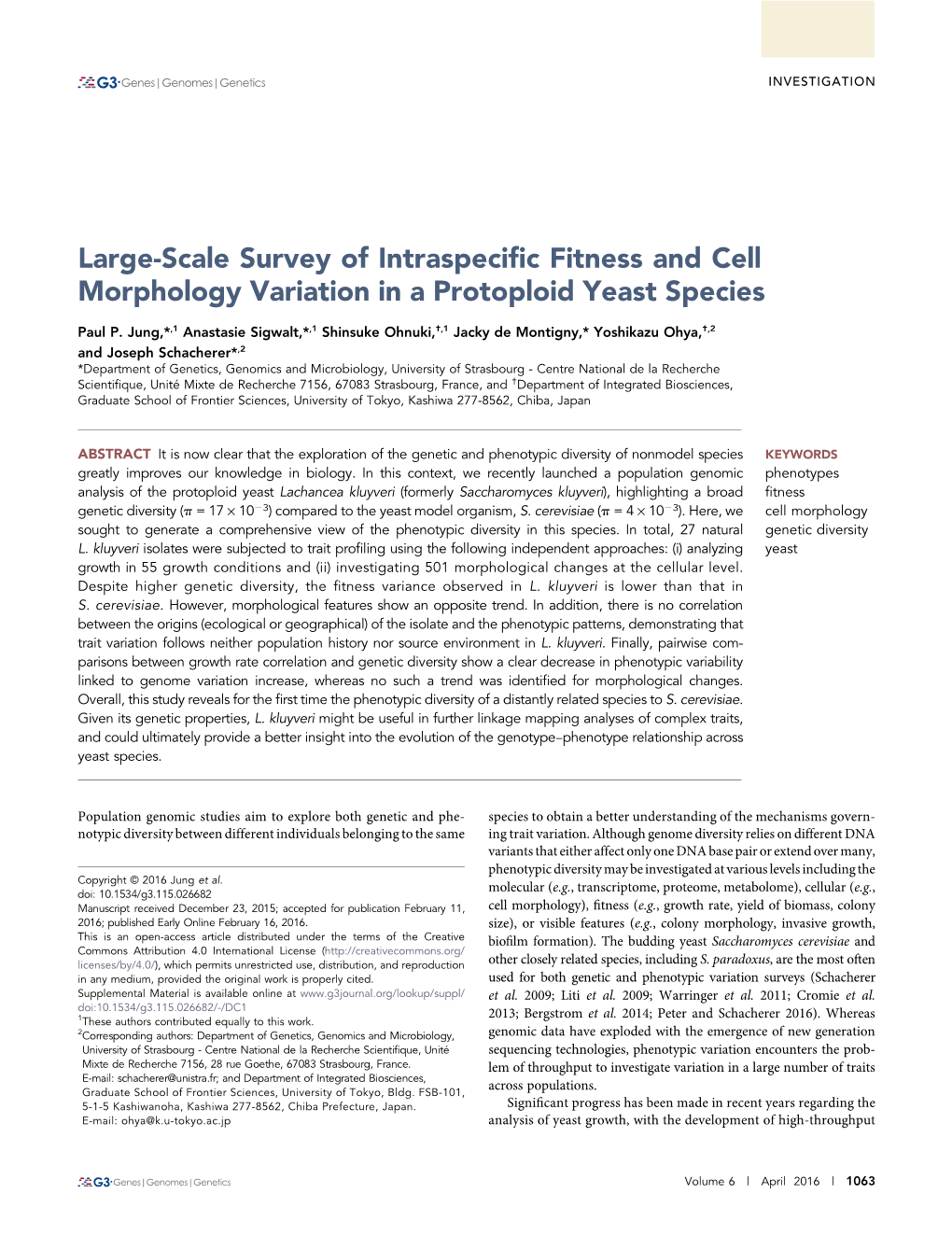 Large-Scale Survey of Intraspecific Fitness and Cell Morphology Variation in a Protoploid Yeast Species