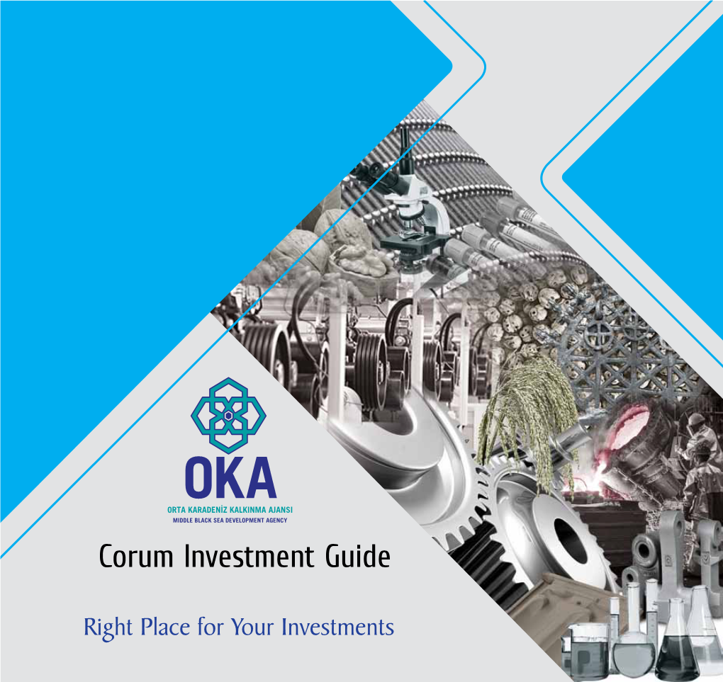 Corum Investment Guide