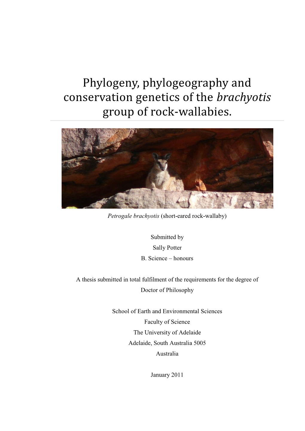 Phylogeny, Phylogeography and Conservation Genetics of the Brachyotis Group of Rock-Wallabies