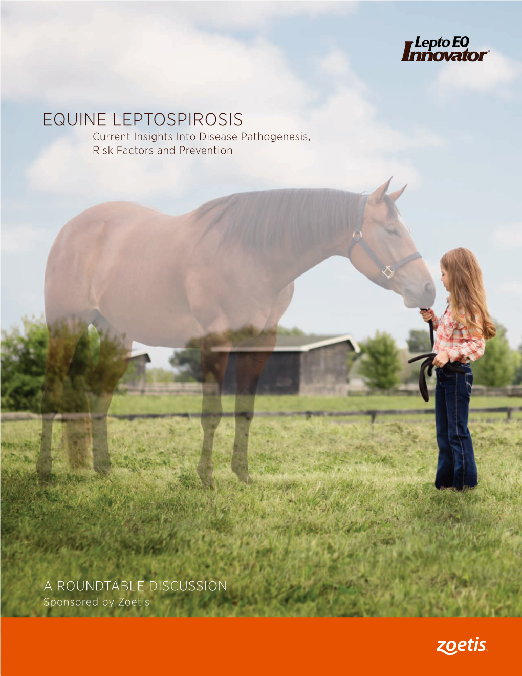 EQUINE LEPTOSPIROSIS Current Insights Into Disease Pathogenesis, Risk Factors and Prevention