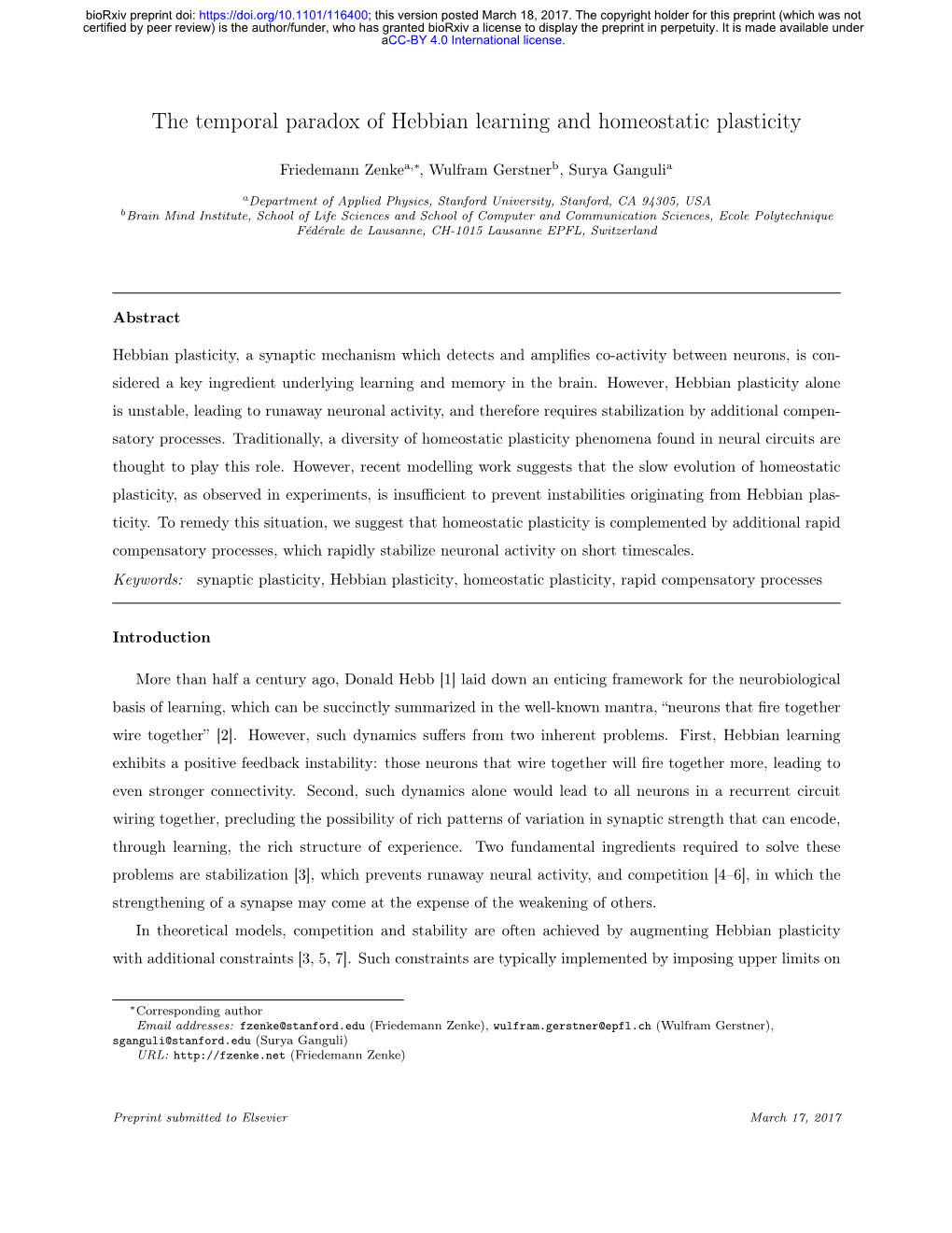 The Temporal Paradox of Hebbian Learning and Homeostatic Plasticity