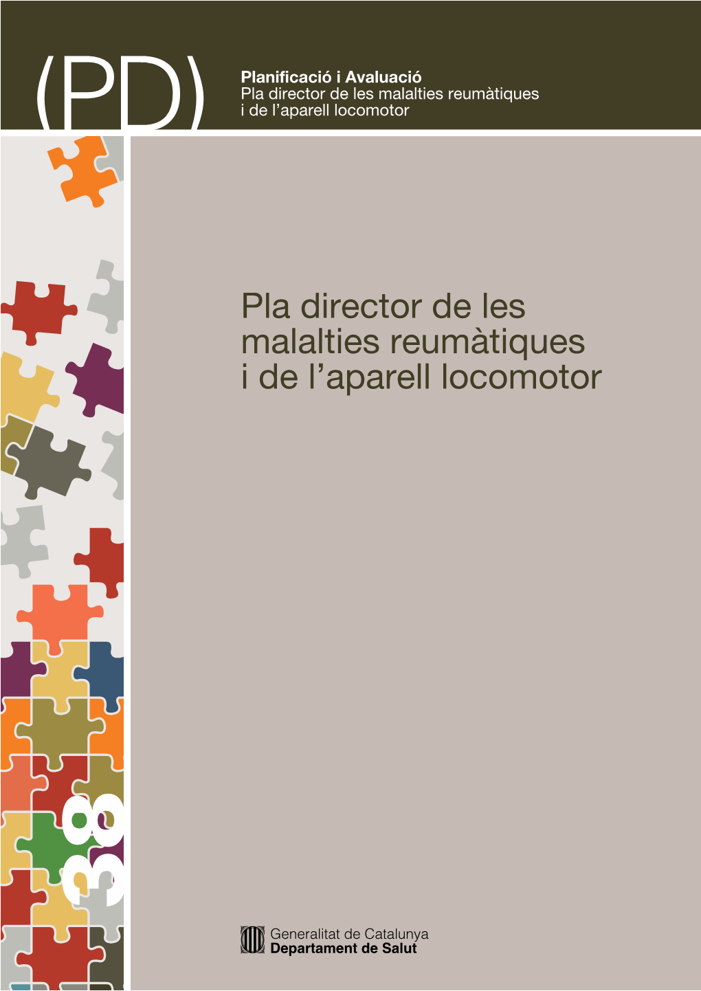 Pla Director De Les Malalties Reumàtiques I De L'aparell Locomotor