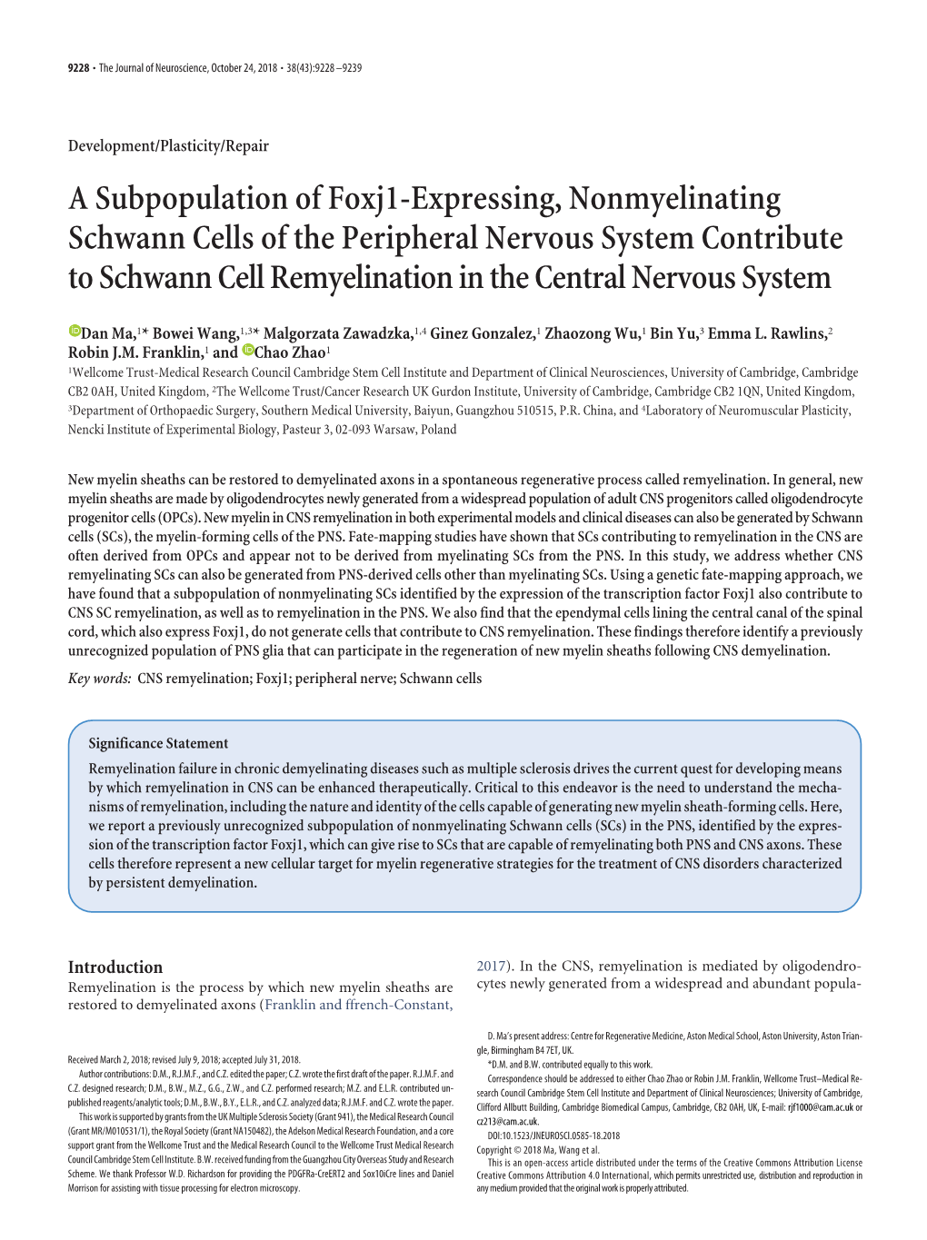 A Subpopulation of Foxj1-Expressing, Nonmyelinating