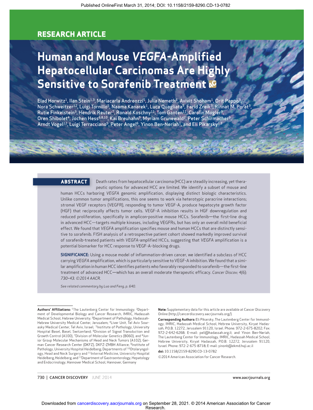 Human and Mouse VEGFA -Amplified Hepatocellular Carcinomas Are Highly Sensitive to Sorafenib Treatment