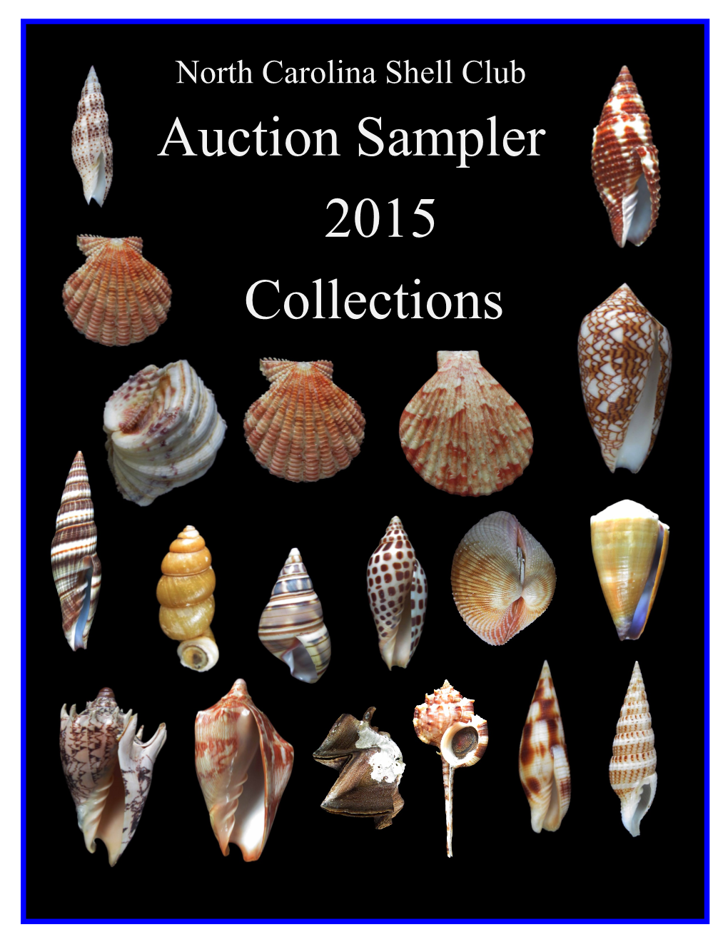 Auction Sampler 2015 Collections North Carolina Shell Club Auction Sampler