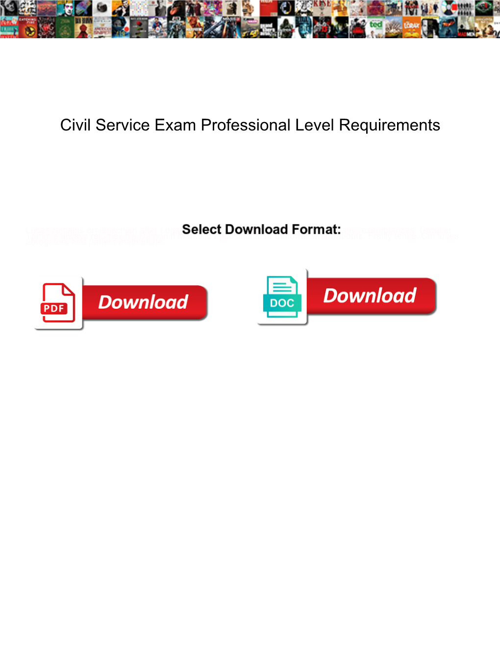 Civil Service Exam Professional Level Requirements