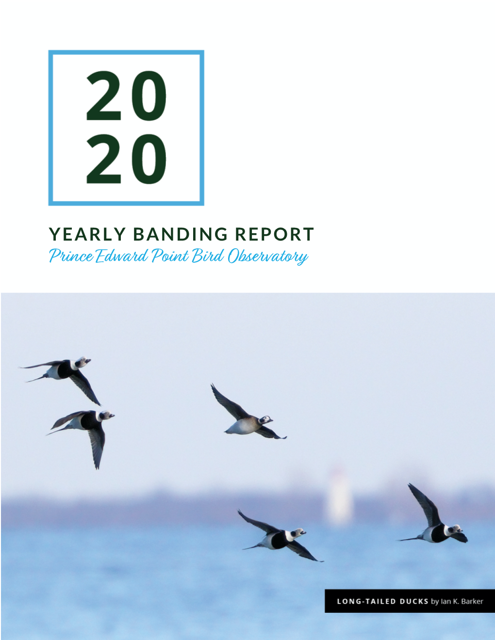 2020 Banding Report