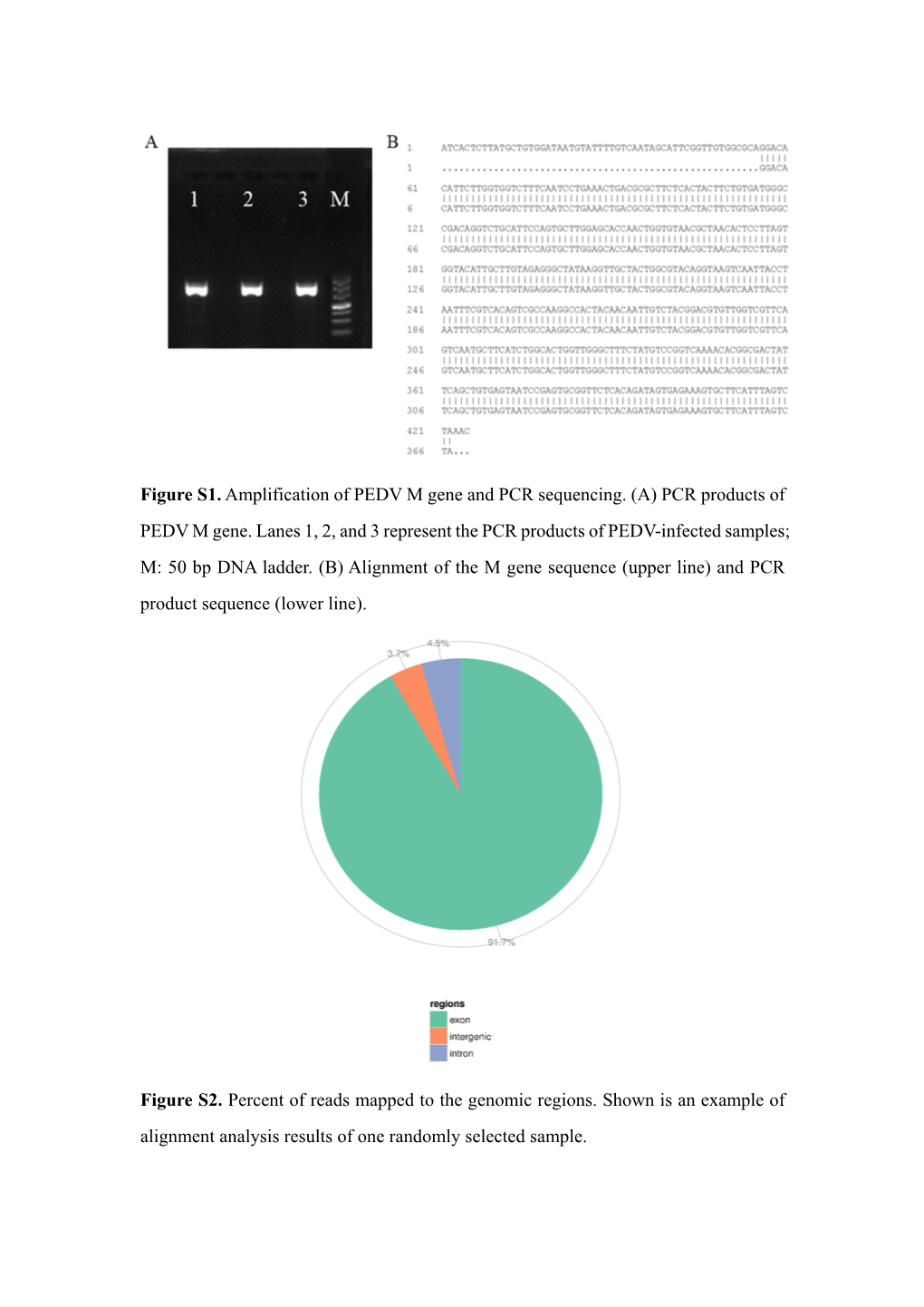 Figure S1. Amplification of PEDV M Gene and PCR Sequencing. (A) PCR Products of PEDV M Gene