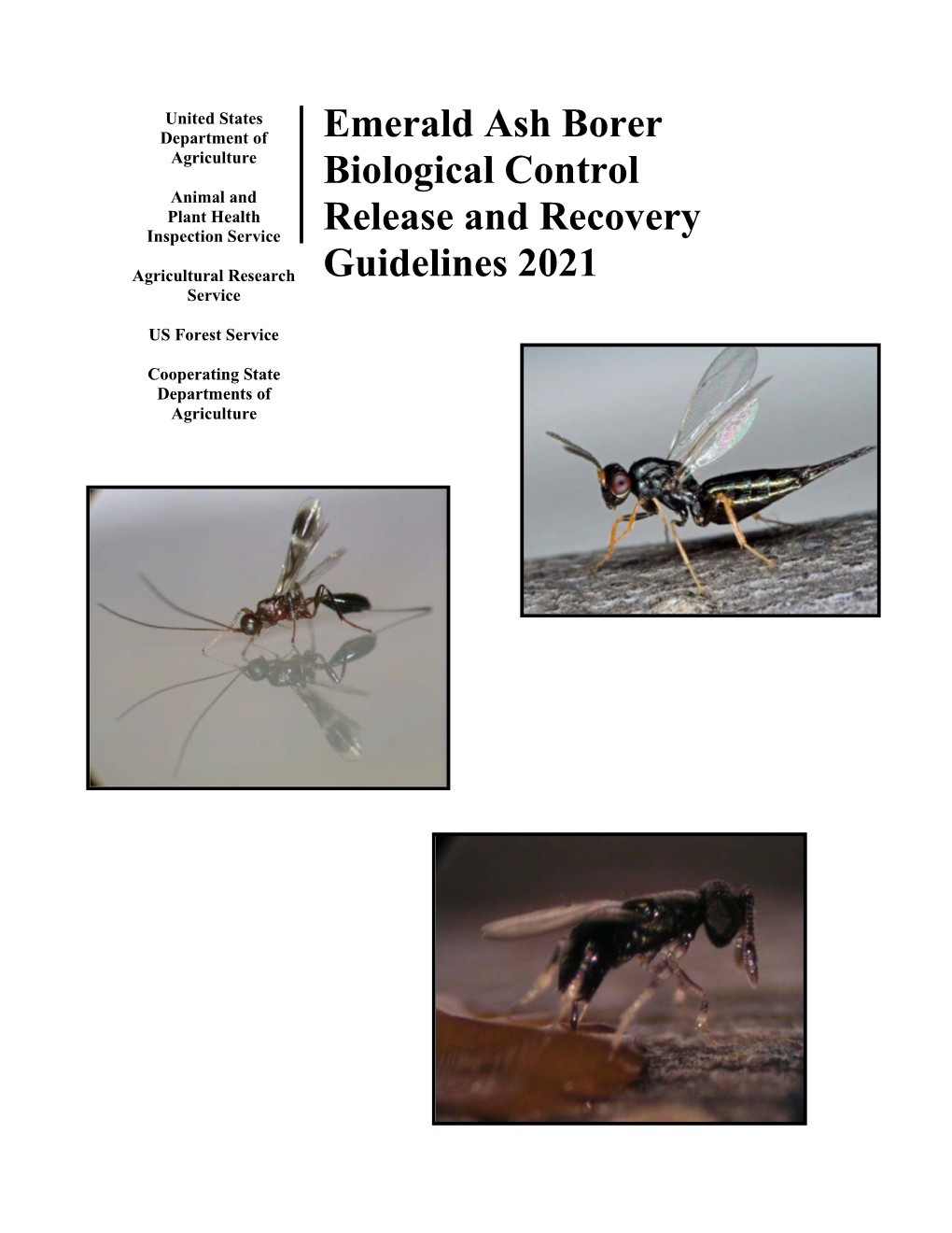 EAB Biocontrol Field Release Guidelines