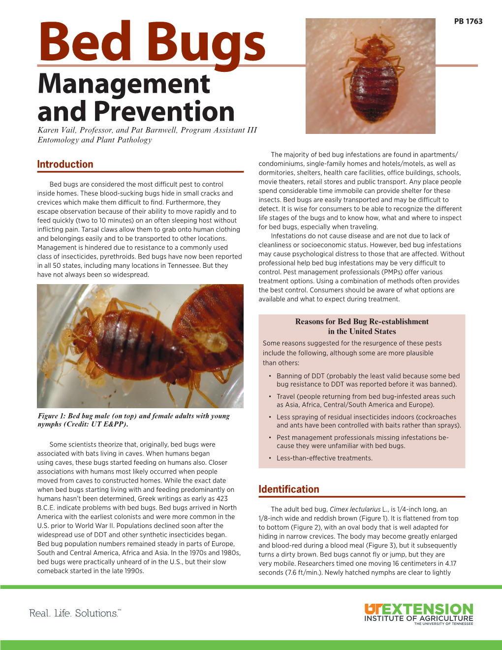 Bed Bugs: Management and Prevention