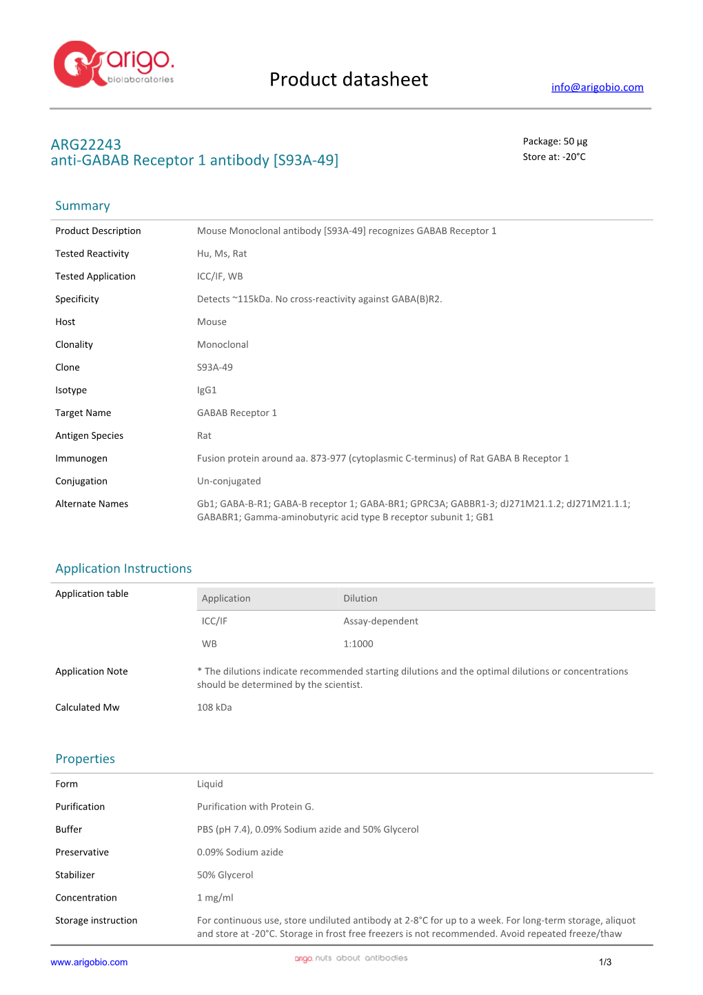 Anti-GABAB Receptor 1 Antibody [S93A-49] (ARG22243)